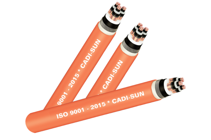 Cửa Hàng Dây Điện Cadivi HCM Chính Hãng, Giá Tốt 2026