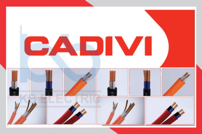 Cửa Hàng Thiết Bị Điện Cadivi Chính Hãng Tại HCM: Bảo Vệ Người Tiêu Dùng Trước Nạn Hàng Giả </h1>