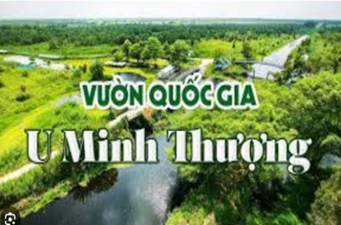 Công Trình : Khu Di Tích U Minh Thượng Kiên Giang