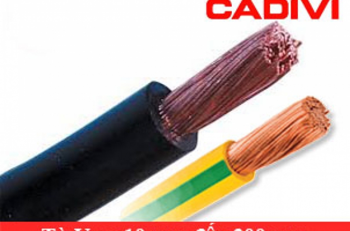 Nhà Cung Cấp Thiết Bị Điện Cadivi Công Trình: Quản Lý Dự Án và Rủi Ro