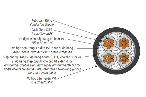 cap-ngam-ha-the-cadivi